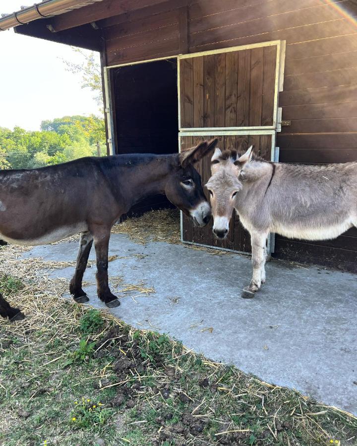 La Ferme Saint Pierre De Glabais Villa Genappe Eksteriør billede